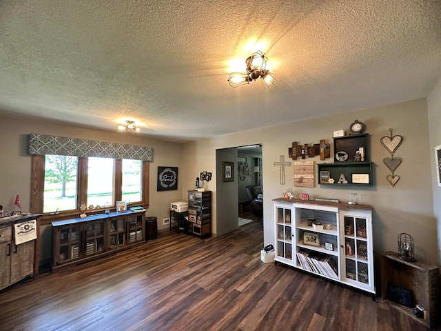 515 2nd St SW, New Richland, MN 56072 - bar with a textured ceiling and wood finished floors