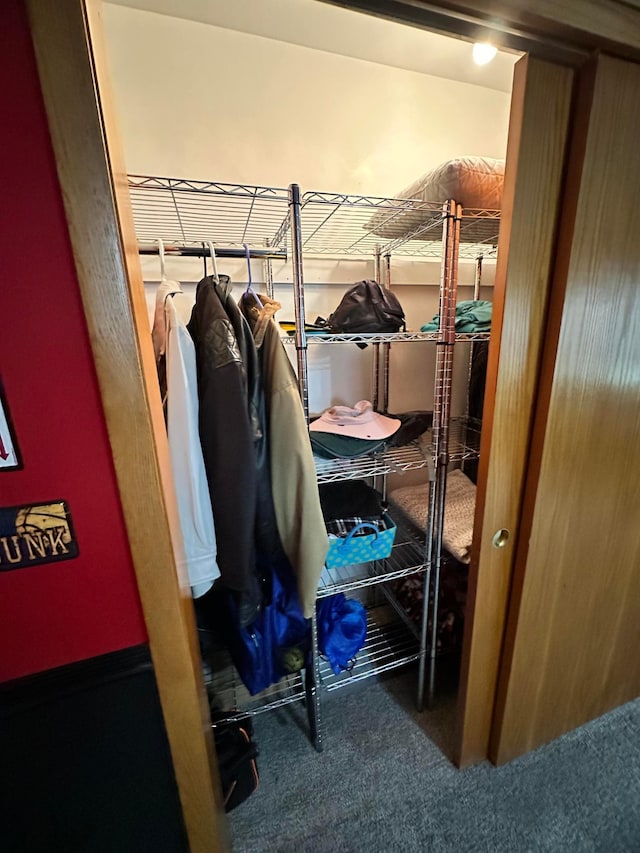 515 2nd St SW, New Richland, MN 56072 - view of closet