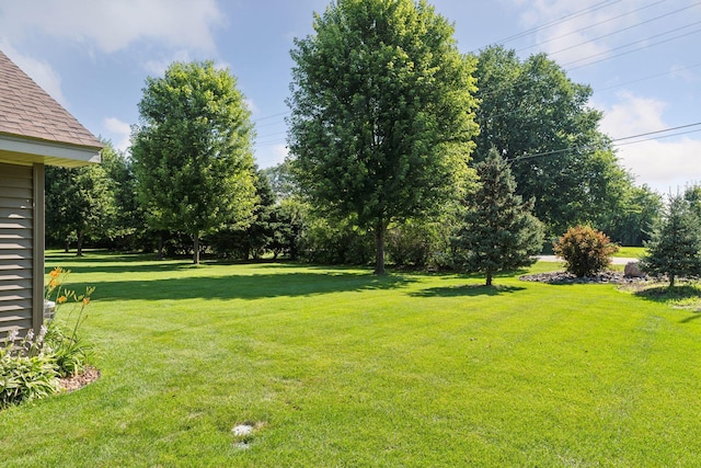 7140 Ivy Ridge Ct, Lino Lakes, MN 55014 - view of green lawn with view of scattered trees