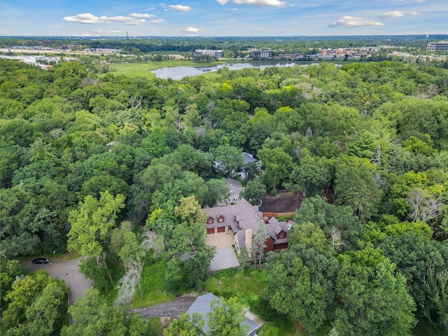 11625 Live Oak Dr, Minnetonka, MN 55305 - photo 85