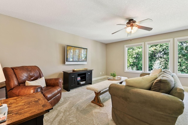 9240 Red Oak Dr, Victoria, MN 55386 - photo 40