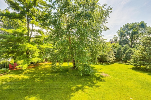 4605 62nd St, Edina, MN 55424 - photo 33