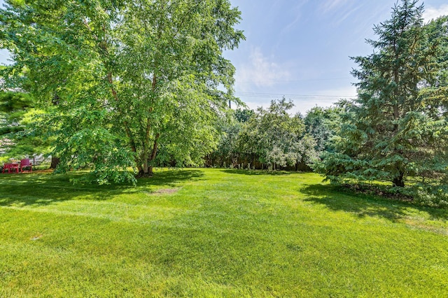 4605 62nd St, Edina, MN 55424 - photo 35
