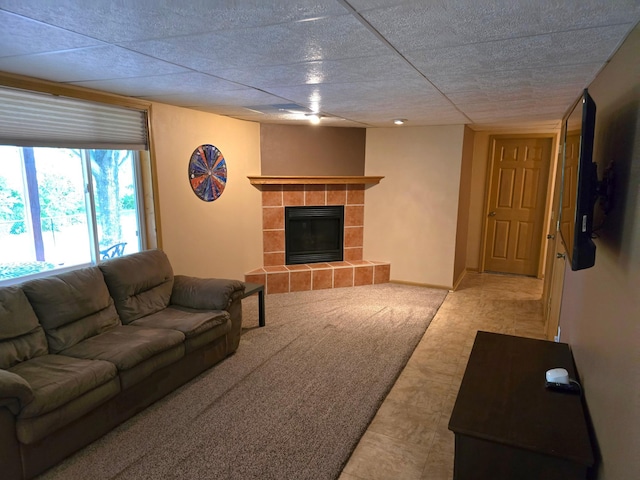 100 Barkley Cir W, Cannon Falls, MN 55009 - living area with a fireplace