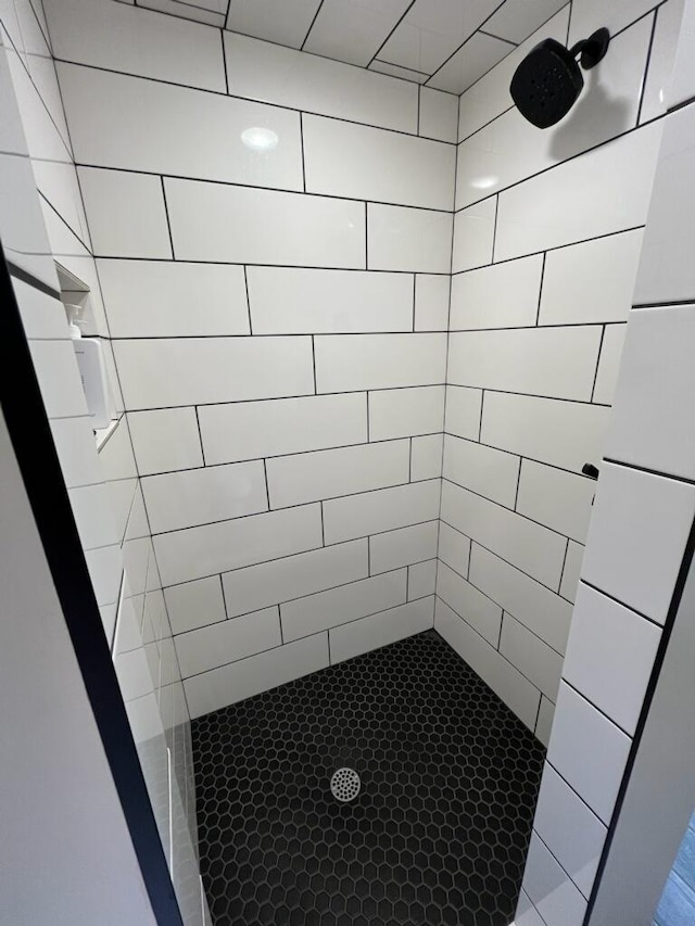 100 Barkley Cir W, Cannon Falls, MN 55009 - bathroom with a tile shower