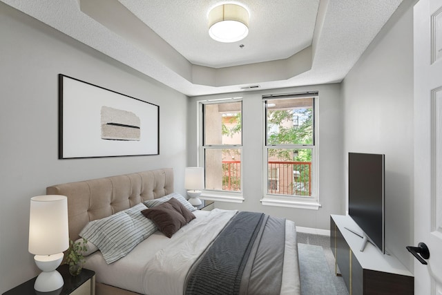 645 1st St Unit 305, Minneapolis, MN 55401 - carpeted bedroom featuring a raised ceiling and a textured ceiling