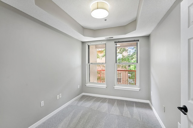 645 1st St Unit 305, Minneapolis, MN 55401 - carpeted empty room with a textured ceiling and a raised ceiling