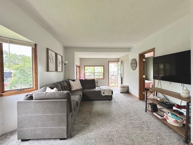 511 3rd St, Nashwauk, MN 55769 - living area featuring carpet floors and a textured ceiling