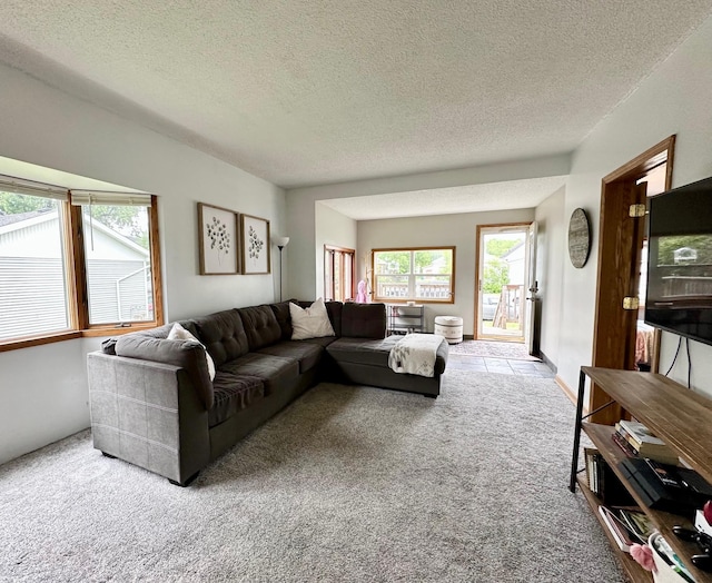 511 3rd St, Nashwauk, MN 55769 - living room featuring carpet and a textured ceiling