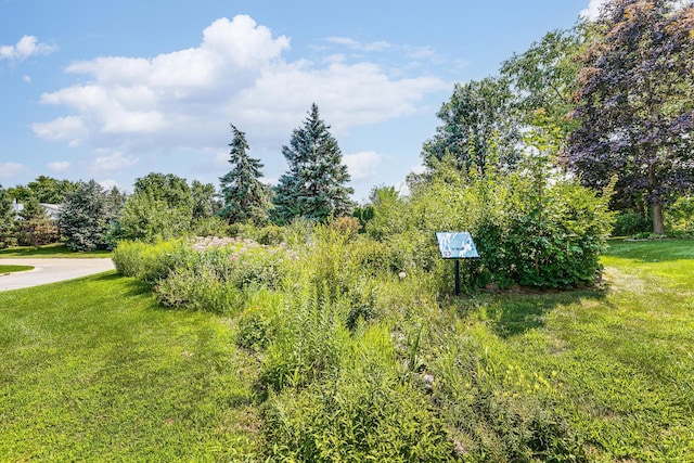 4328 Thornhill Ln, Vadnais Heights, MN 55127 - photo 32