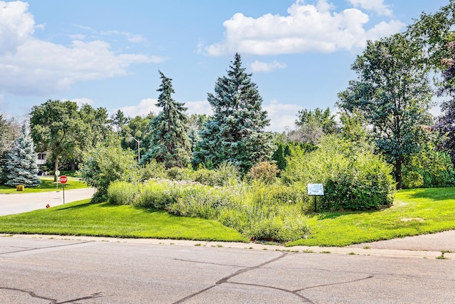 4328 Thornhill Ln, Vadnais Heights, MN 55127 - photo 33