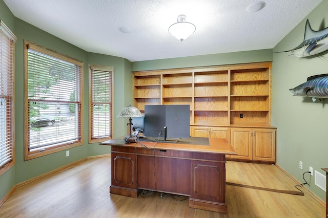 7569 Blackoaks Ln N, Maple Grove, MN 55311 - home office featuring light wood finished floors, a textured ceiling, and plenty of natural light
