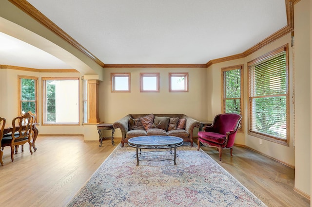 7569 Blackoaks Ln N, Maple Grove, MN 55311 - living room with light wood-style flooring and crown molding