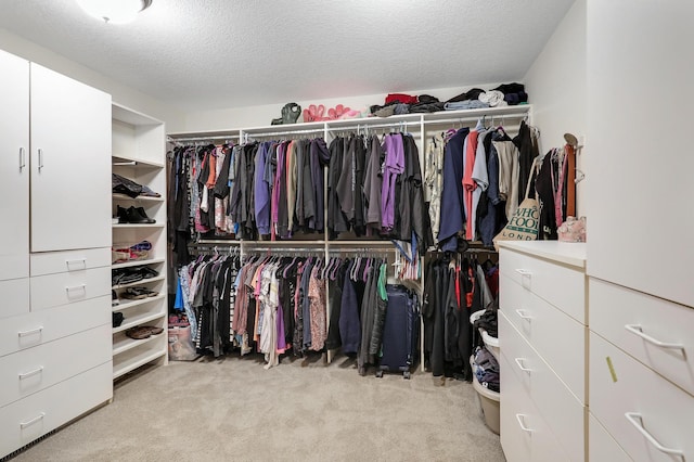 7569 Blackoaks Ln N, Maple Grove, MN 55311 - spacious closet with light colored carpet