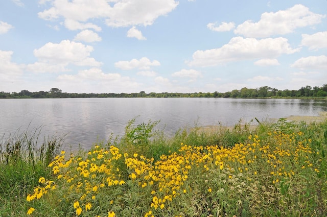 3520 27th Ave S, Minneapolis, MN 55406 - water view