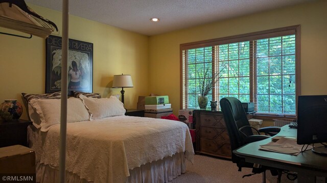 21021 Fresno St NW, Elk River, MN 55330 - carpeted bedroom featuring recessed lighting and an office area