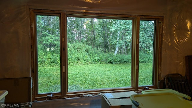 21021 Fresno St NW, Elk River, MN 55330 - view of doorway