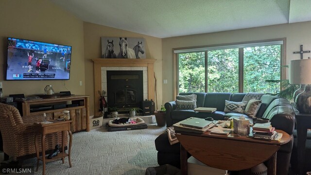 21021 Fresno St NW, Elk River, MN 55330 - living area with vaulted ceiling and a wood stove