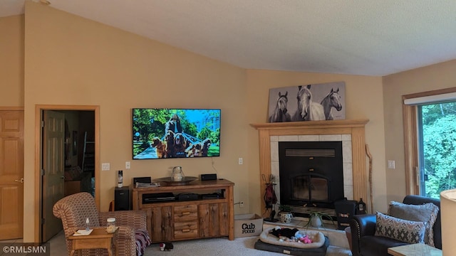 21021 Fresno St NW, Elk River, MN 55330 - carpeted living room with lofted ceiling and a wood stove