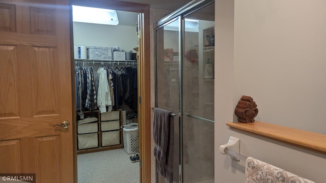 21021 Fresno St NW, Elk River, MN 55330 - full bathroom with a stall shower and a walk in closet