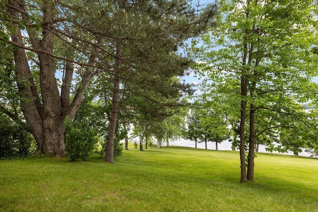 46704 County Road 613, Nashwauk, MN 55769 - photo 52