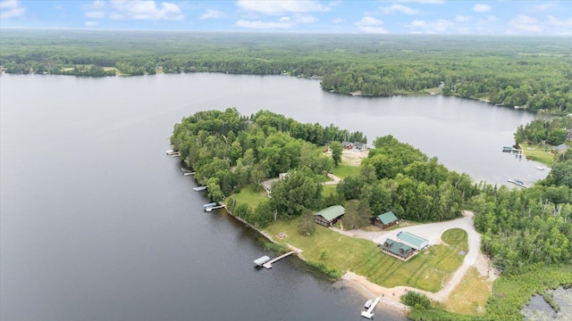 46704 County Road 613, Nashwauk, MN 55769 - photo 60