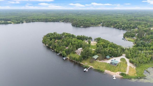 46704 County Road 613, Nashwauk, MN 55769 - photo 61