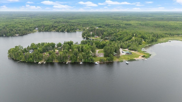 46704 County Road 613, Nashwauk, MN 55769 - photo 62