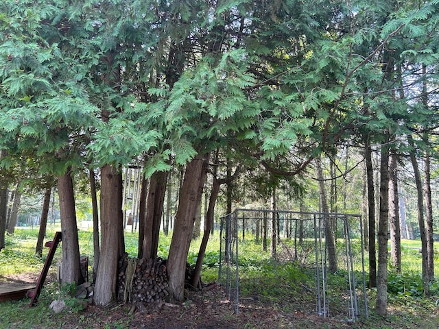 29156 State Highway 47, Aitkin, MN 56431 - view of local wilderness