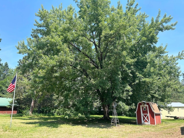 29156 State Highway 47, Aitkin, MN 56431 - view of grassy yard with a shed