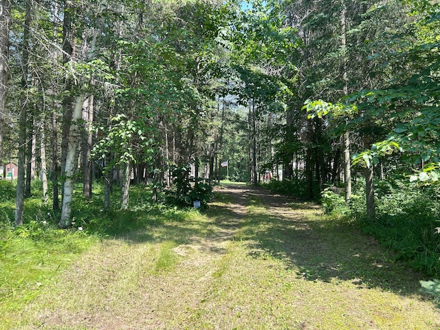 29156 State Highway 47, Aitkin, MN 56431 - view of yard