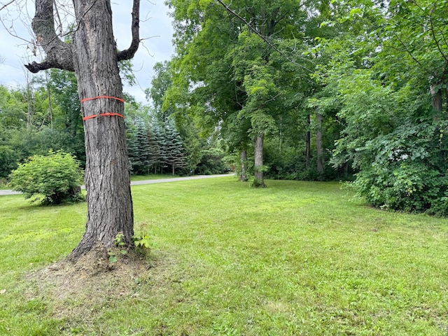 19288 328th Ave, Isle, MN 56342
