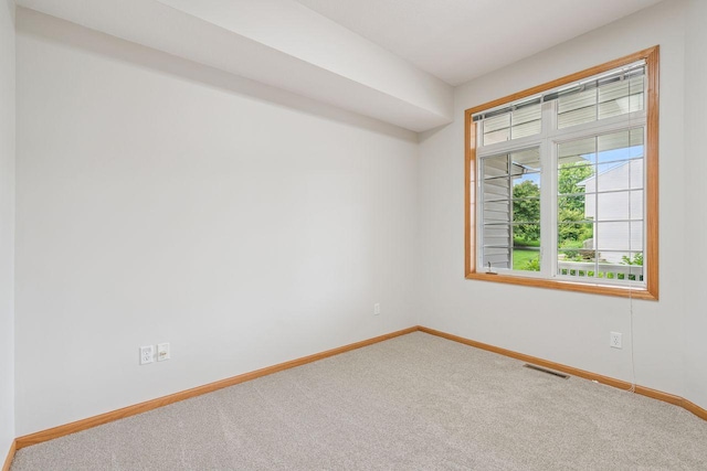 13501 96th Pl N, Maple Grove, MN 55369 - spare room featuring carpet flooring and baseboards