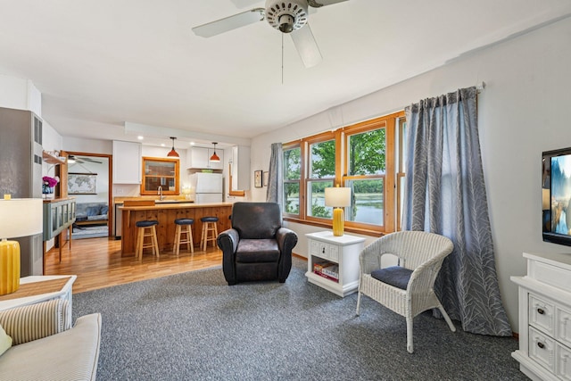 1671 Little Butternut Lake Ln, Luck, WI 54853 - carpeted living room featuring a ceiling fan and a sink