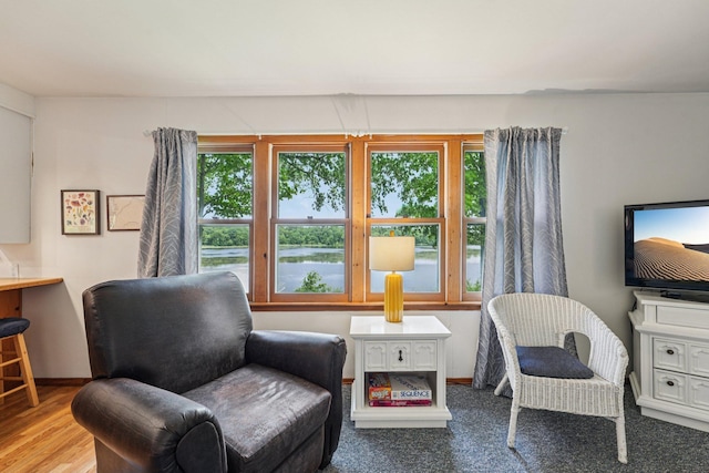 1671 Little Butternut Lake Ln, Luck, WI 54853 - living area featuring healthy amount of natural light and wood finished floors