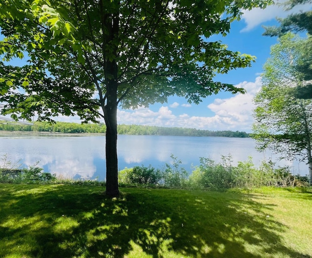 1671 Little Butternut Lake Ln, Luck, WI 54853 - water view