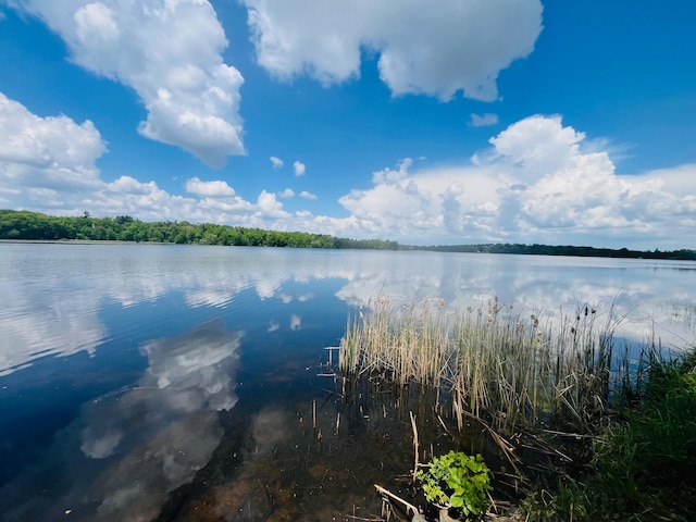 1671 Little Butternut Lake Ln, Luck, WI 54853 - water view
