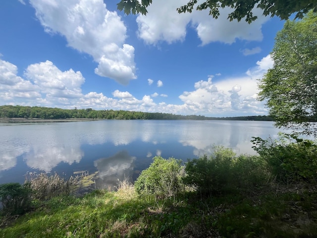 1671 Little Butternut Lake Ln, Luck, WI 54853 - water view