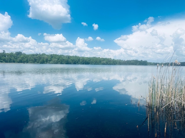1671 Little Butternut Lake Ln, Luck, WI 54853 - water view