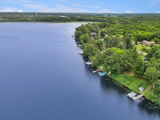 1671 Little Butternut Lake Ln, Luck, WI 54853 - photo 4