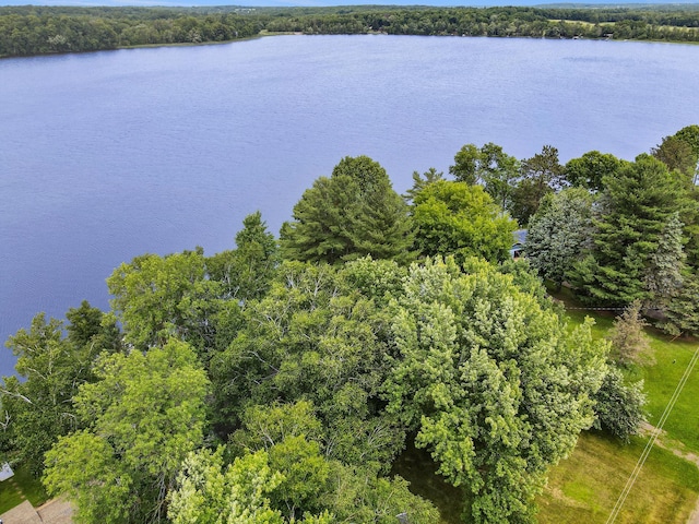 1671 Little Butternut Lake Ln, Luck, WI 54853 - photo 40