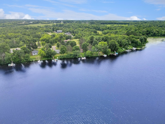 1671 Little Butternut Lake Ln, Luck, WI 54853 - photo 2