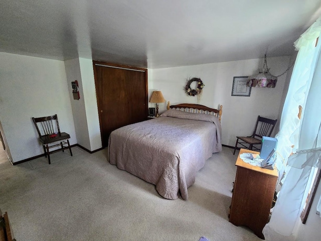 2047 60th Ave, Altona Twp, MN 56164 - bedroom with carpet flooring and a closet
