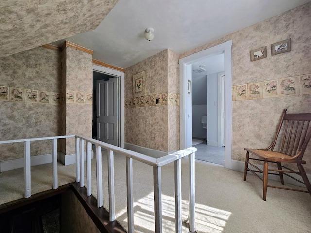 2047 60th Ave, Altona Twp, MN 56164 - hall featuring carpet