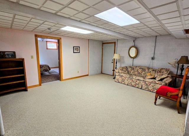 2047 60th Ave, Altona Twp, MN 56164 - carpeted living room featuring baseboards