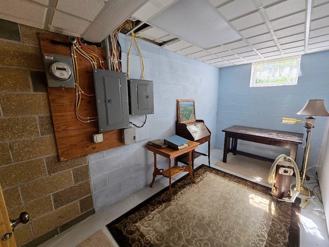 2047 60th Ave, Altona Twp, MN 56164 - basement featuring electric panel