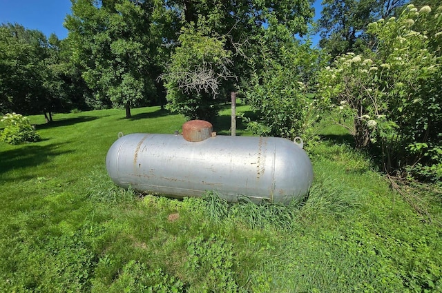 2047 60th Ave, Altona Twp, MN 56164 - exterior view of heating fuel tank
