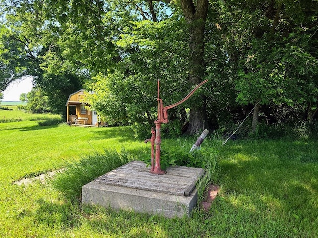 2047 60th Ave, Altona Twp, MN 56164 - view of green lawn featuring an outdoor structure