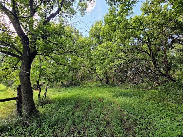 2047 60th Ave, Altona Twp, MN 56164 - view of woods