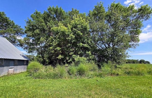 2047 60th Ave, Altona Twp, MN 56164 - view of yard
